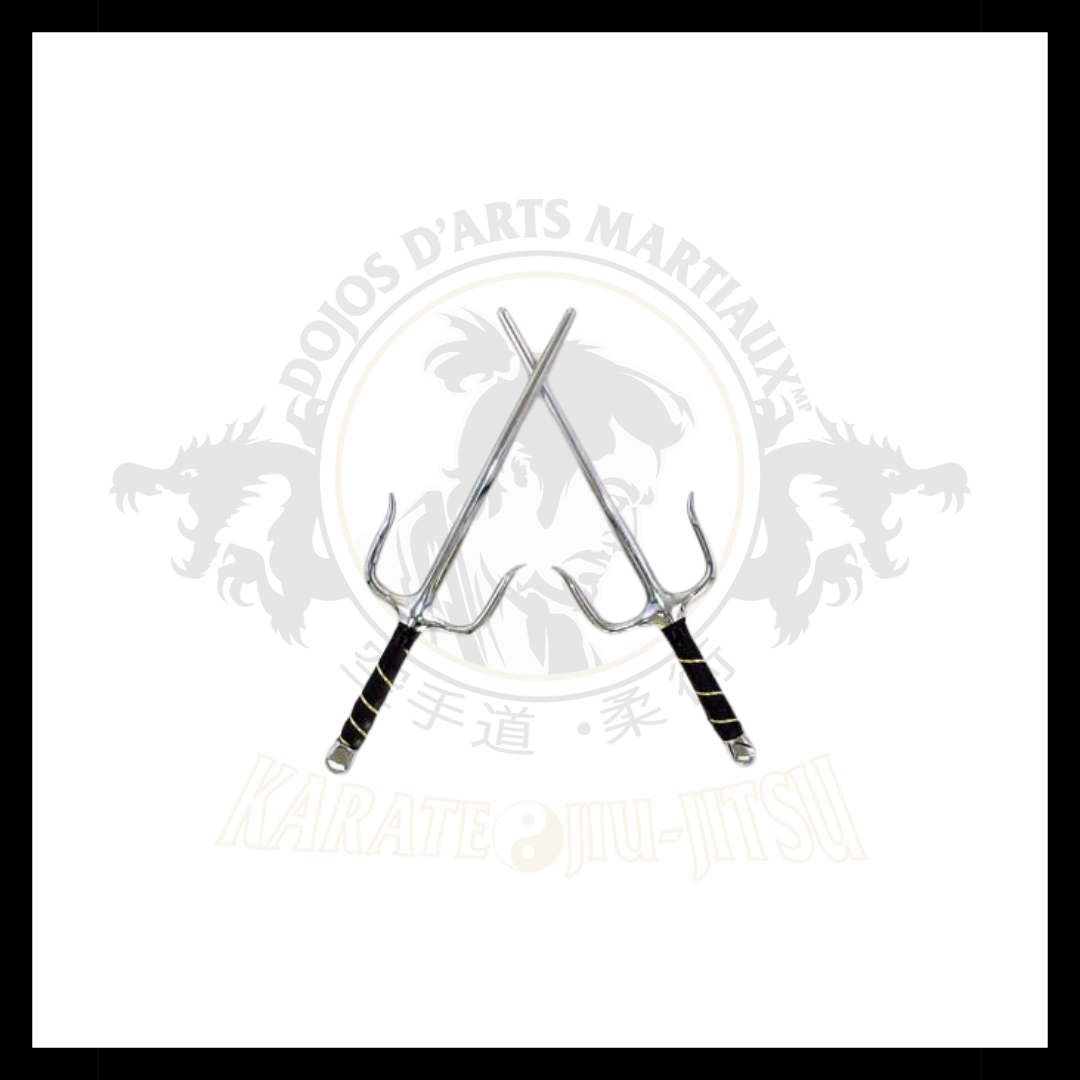 Sai octogonales argent – Image 1
